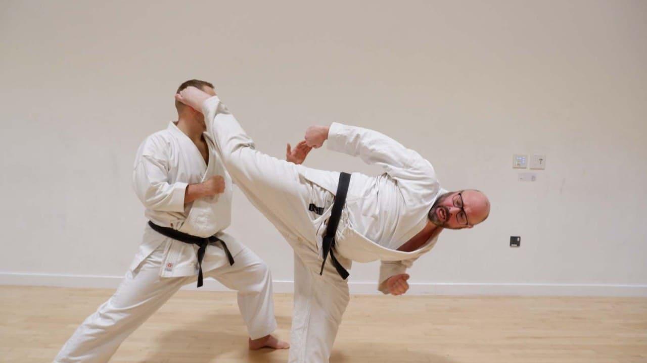 Beyond Kicks and Punches: The Philosophy of SilentEchoProject Karate